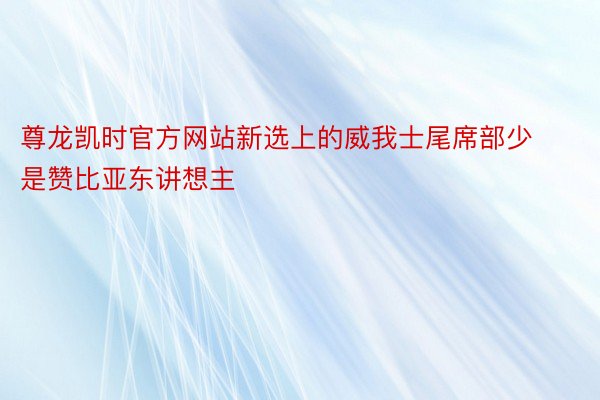 尊龙凯时官方网站新选上的威我士尾席部少是赞比亚东讲想主