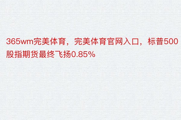 365wm完美体育，完美体育官网入口，标普500股指期货最终飞扬0.85%