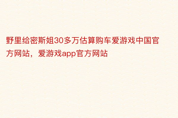 野里给密斯姐30多万估算购车爱游戏中国官方网站，爱游戏app官方网站