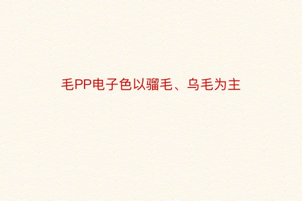 毛PP电子色以骝毛、乌毛为主