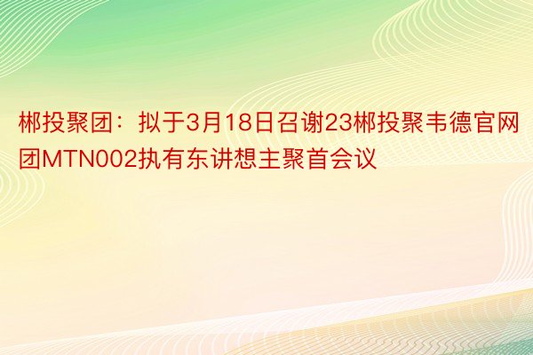 郴投聚团：拟于3月18日召谢23郴投聚韦德官网团MTN002执有东讲想主聚首会议