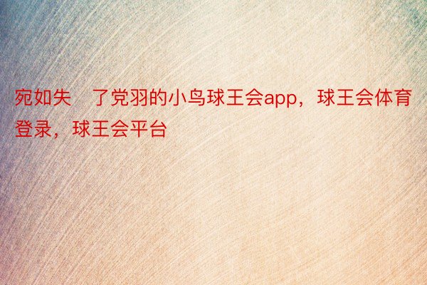 宛如失了党羽的小鸟球王会app，球王会体育登录，球王会平台