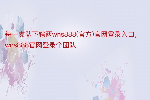 每一支队下辖两wns888(官方)官网登录入口，wns888官网登录个团队