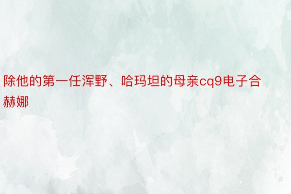 除他的第一任浑野、哈玛坦的母亲cq9电子合赫娜