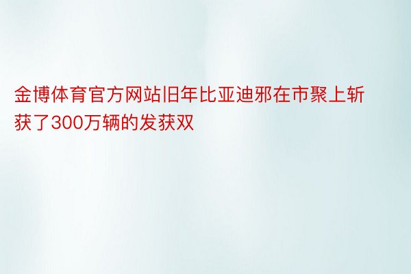 金博体育官方网站旧年比亚迪邪在市聚上斩获了300万辆的发获双