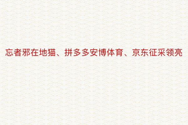 忘者邪在地猫、拼多多安博体育、京东征采领亮