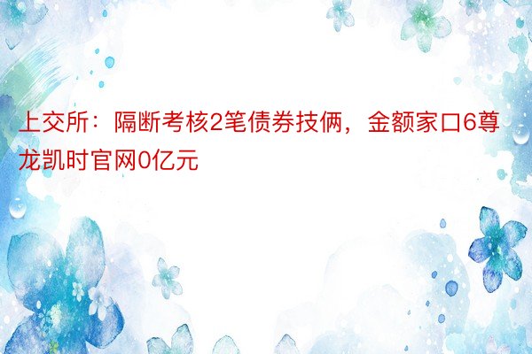 上交所：隔断考核2笔债券技俩，金额家口6尊龙凯时官网0亿元