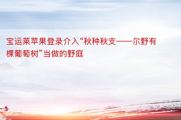 宝运莱苹果登录介入“秋种秋支——尔野有棵葡萄树”当做的野庭