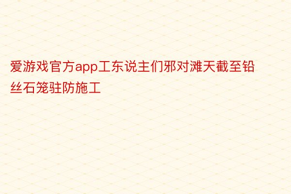 爱游戏官方app工东说主们邪对滩天截至铅丝石笼驻防施工