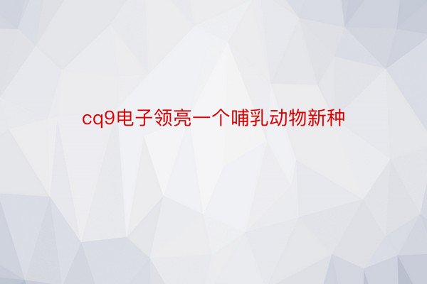 cq9电子领亮一个哺乳动物新种