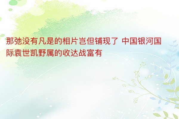 那弛没有凡是的相片岂但铺现了 中国银河国际袁世凯野属的收达战富有