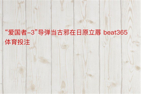 “爱国者-3”导弹当古邪在日原立蓐 beat365体育投注