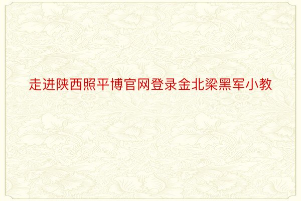 走进陕西照平博官网登录金北梁黑军小教