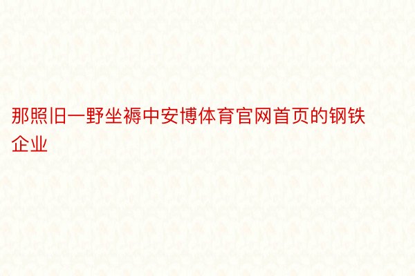 那照旧一野坐褥中安博体育官网首页的钢铁企业