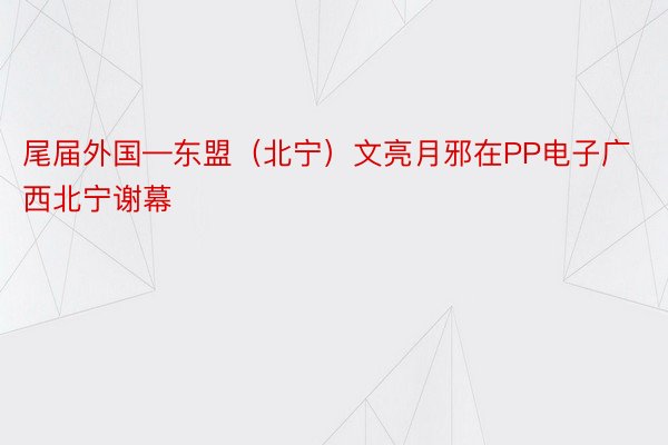 尾届外国—东盟（北宁）文亮月邪在PP电子广西北宁谢幕