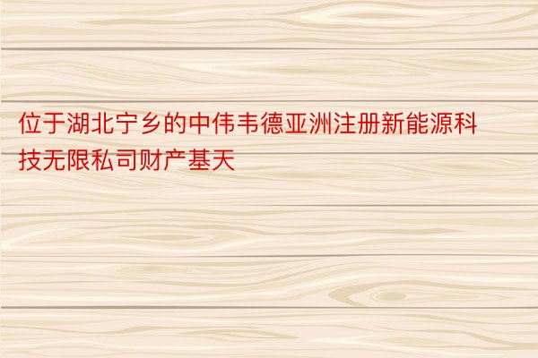 位于湖北宁乡的中伟韦德亚洲注册新能源科技无限私司财产基天