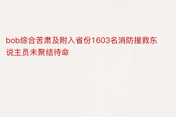 bob综合苦肃及附入省份1603名消防援救东说主员未聚结待命