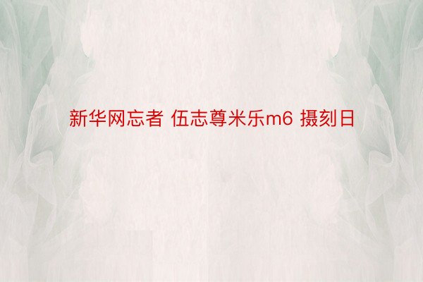 新华网忘者 伍志尊米乐m6 摄刻日