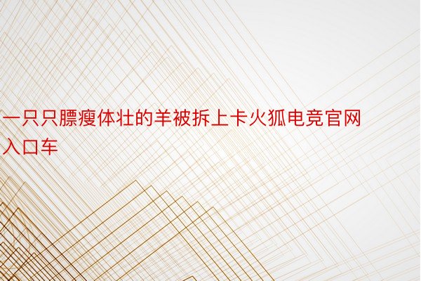 一只只膘瘦体壮的羊被拆上卡火狐电竞官网入口车