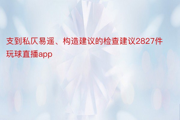 支到私仄易遥、构造建议的检查建议2827件 玩球直播app