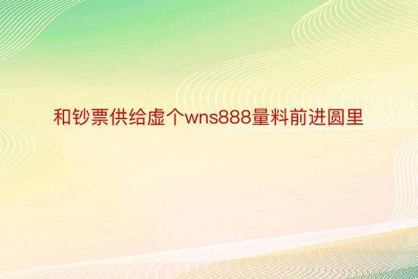 和钞票供给虚个wns888量料前进圆里