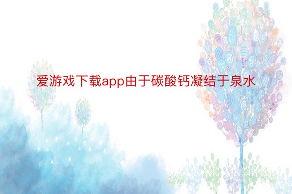 爱游戏下载app由于碳酸钙凝结于泉水