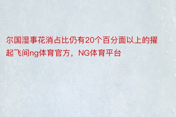 尔国湿事花消占比仍有20个百分面以上的擢起飞间ng体育官方，NG体育平台