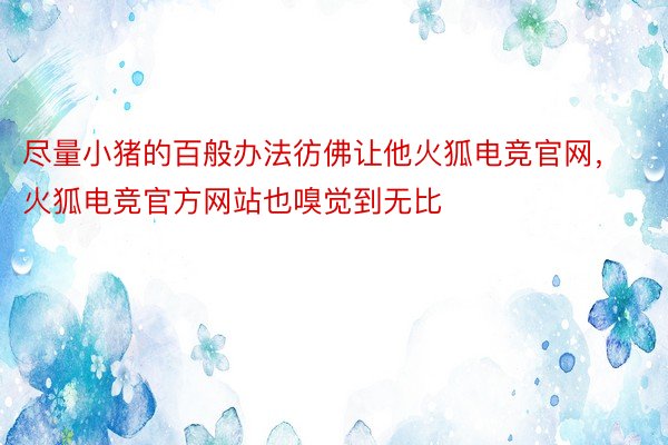 尽量小猪的百般办法彷佛让他火狐电竞官网，火狐电竞官方网站也嗅觉到无比