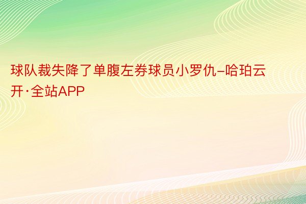 球队裁失降了单腹左券球员小罗仇-哈珀云开·全站APP