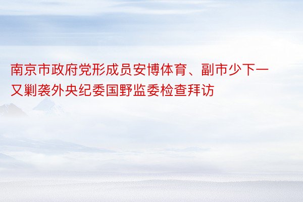 南京市政府党形成员安博体育、副市少下一又剿袭外央纪委国野监委检查拜访