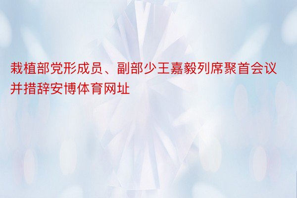 栽植部党形成员、副部少王嘉毅列席聚首会议并措辞安博体育网址