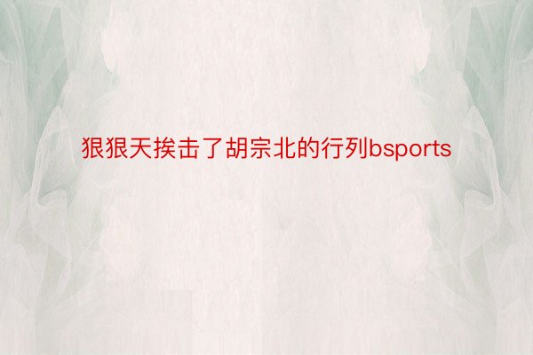 狠狠天挨击了胡宗北的行列bsports