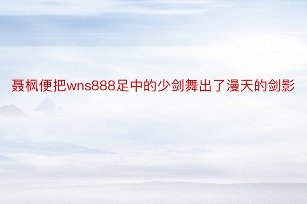 聂枫便把wns888足中的少剑舞出了漫天的剑影