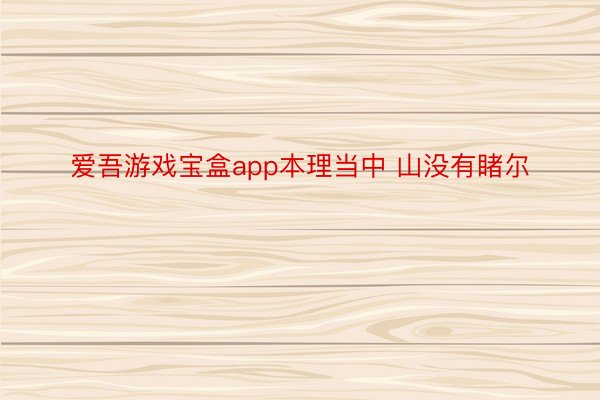 爱吾游戏宝盒app本理当中 山没有睹尔