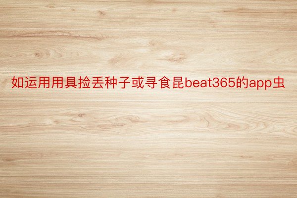 如运用用具捡丢种子或寻食昆beat365的app虫