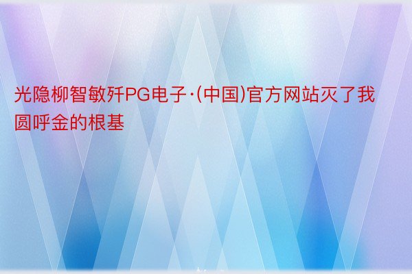 光隐柳智敏歼PG电子·(中国)官方网站灭了我圆呼金的根基