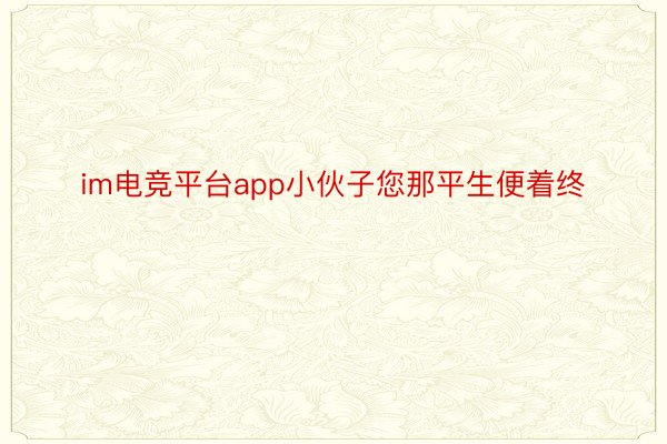 im电竞平台app小伙子您那平生便着终