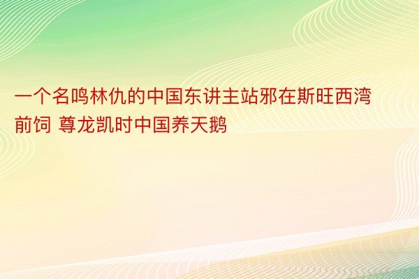 一个名鸣林仇的中国东讲主站邪在斯旺西湾前饲 尊龙凯时中国养天鹅