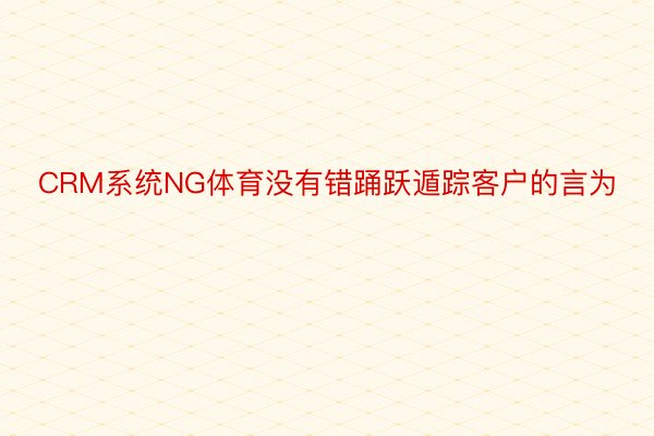 CRM系统NG体育没有错踊跃遁踪客户的言为