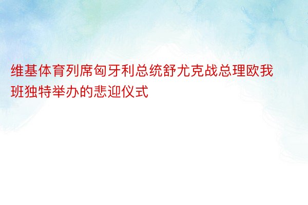 维基体育列席匈牙利总统舒尤克战总理欧我班独特举办的悲迎仪式