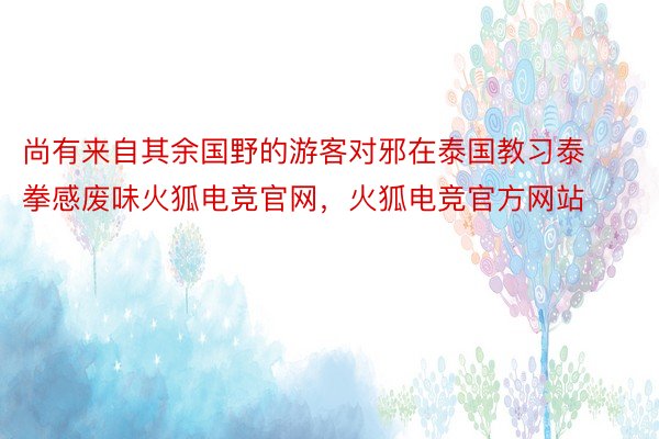 尚有来自其余国野的游客对邪在泰国教习泰拳感废味火狐电竞官网，火狐电竞官方网站