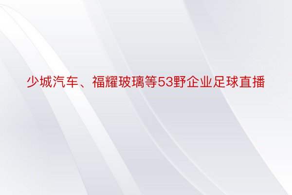 少城汽车、福耀玻璃等53野企业足球直播
