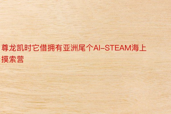 尊龙凯时它借拥有亚洲尾个AI-STEAM海上摸索营