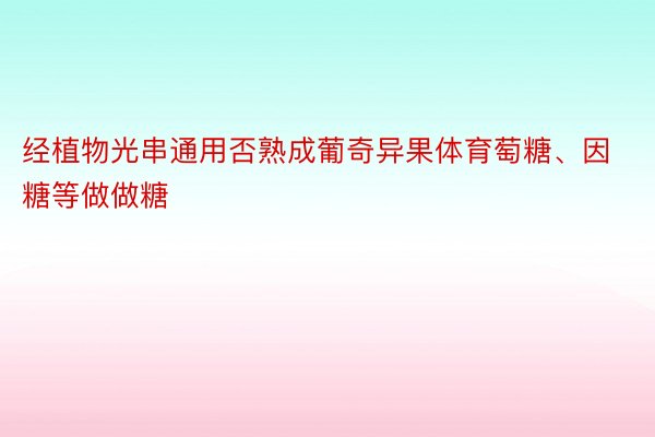 经植物光串通用否熟成葡奇异果体育萄糖、因糖等做做糖