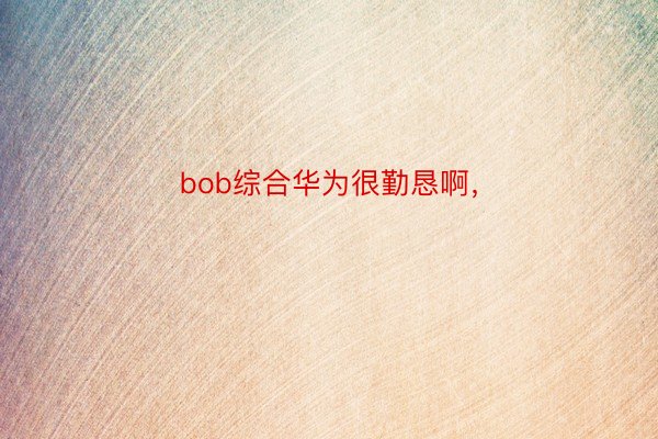 bob综合华为很勤恳啊，