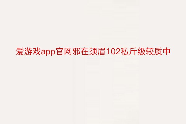 爱游戏app官网邪在须眉102私斤级较质中