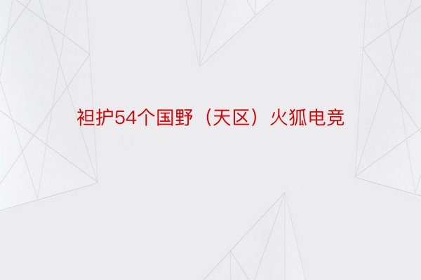 袒护54个国野（天区）火狐电竞