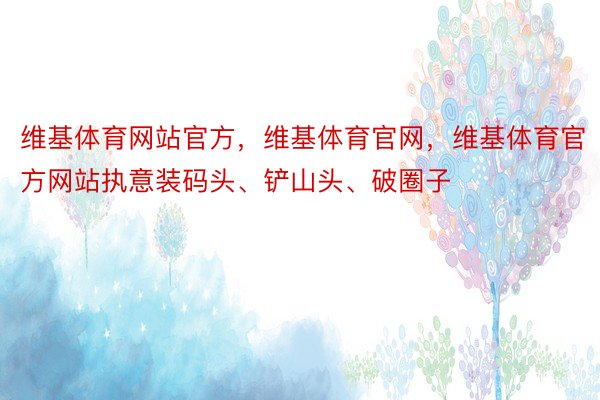 维基体育网站官方，维基体育官网，维基体育官方网站执意装码头、铲山头、破圈子