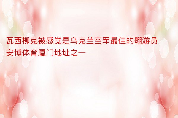 瓦西柳克被感觉是乌克兰空军最佳的翱游员 安博体育厦门地址之一