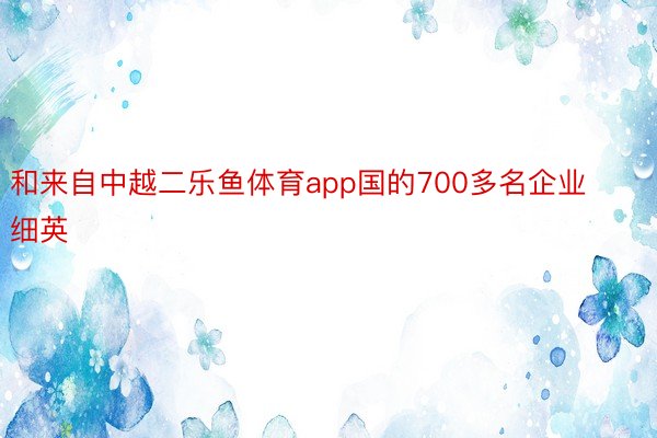 和来自中越二乐鱼体育app国的700多名企业细英